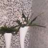 IMG 22